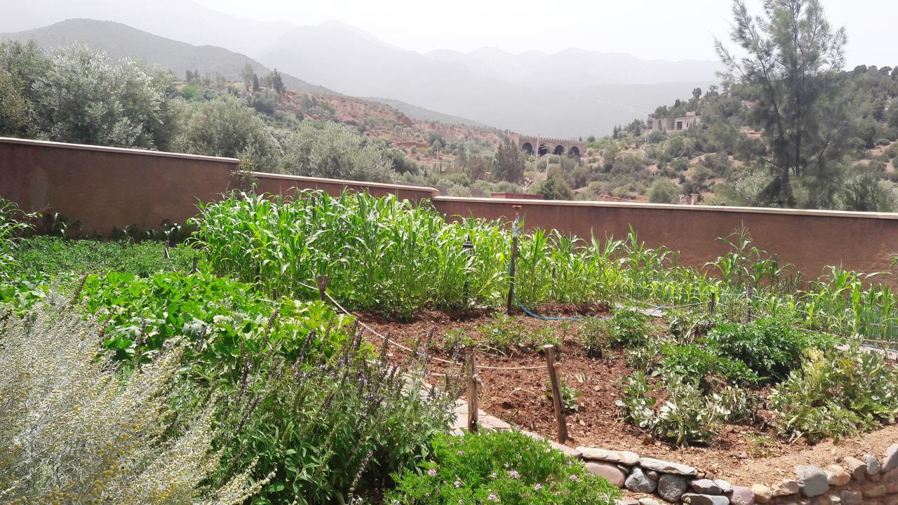 Ouirgane Ecolodge Exterior photo